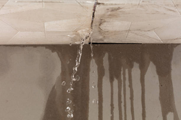 Professional Structural Drying technician working in Egan, LA